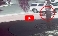 Da en hund gikk til aggressivt angrep på en gutt, kom hjelpen fra uventet hold… Utrolig. Da en hund gikk til aggressivt angrep på en gutt, kom hjelpen fra uventet hold… Utrolig.