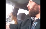 Han bare prikker hunden på brystet. Hundens reaksjon? Hvis blikk kunne drepe… Han bare prikker hunden på brystet. Hundens reaksjon? Hvis blikk kunne drepe…