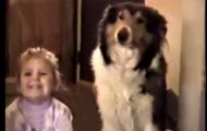 Da mamma sa «smil», fikk hundens reaksjon hele familien til å bryte ut i latter. Da mamma sa «smil», fikk hundens reaksjon hele familien til å bryte ut i latter.