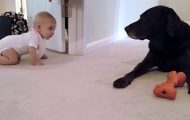 Foreldrene filmet babyens første kryping, men hunden deres gjorde øyeblikket ekstra spesielt. Foreldrene filmet babyens første kryping, men hunden deres gjorde øyeblikket ekstra spesielt.