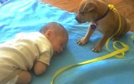 Babyen hennes sover. Men se hva valpen gjør… OMG. Babyen hennes sover. Men se hva valpen gjør… OMG.