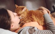 Hvis katten din viser noen av disse tegnene, betyr det at den virkelig elsker deg. Kjempemye. Hvis katten din viser noen av disse tegnene, betyr det at den virkelig elsker deg. Kjempemye.